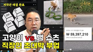 고양이 vs 뱀 쇼츠 드디어 푼다 해외 영상 복사 붙여넣기로 시간낭비 NO 쉽고 빠르게 유튜브 쇼츠 부업 바로 시작하기 노후부업 직장인투잡 부업추천 생계형부업 [upl. by Rauscher]