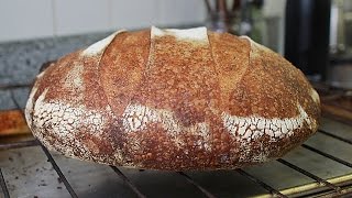 How to Make Sourdough Bread by Feel No Recipe [upl. by Racso]