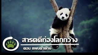 สารคดีท่องโลกกว้าง ตอน หมีแพนด้ายักษ์ [upl. by Saul]