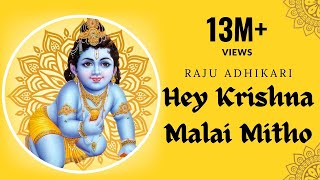 Hey krishna Malai Mitho Bamsi  Raju Adhikari srdbhakti Bhajan  Nepali Bhajan [upl. by Haelak653]