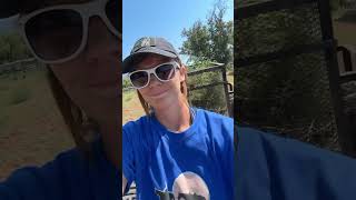 Life Update horsewoman horsemom newjob lifeupdate horsecare mustangmom equestrian [upl. by Aicener]