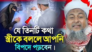 স্ত্রীকে যে তিনটি কথা বললে আপনি বিপদে পড়বেন┇Joynal Abedin waz┇মাওলানা জয়নাল আবেদীন┇Waz 2824 [upl. by Aleunamme869]