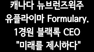 캐나다 뉴브런즈윅주 유플라이마 Formulary1경원블랙록CEOquot미래를 제시하다quot수백배폭등은quot4차산업quot [upl. by Kronick]