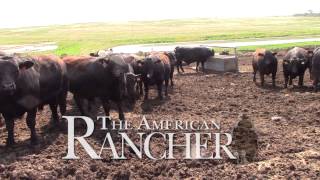 American Rancher  American Simmental Association [upl. by Vizzone248]