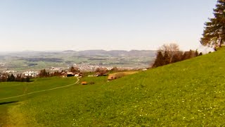 Downhill ZugerbergGuggitalZug via Blasenberg [upl. by Melicent]