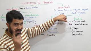 Nutrition in Bacteria Chemosynthetic and photosynthetic Bacteria Parasitic saprophytic bacteria [upl. by Norb]