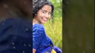 Vasthava Vasthava Song  RakhiMovie  Jr NTR  Charmi  Ileana  Volga Musicbox trending viral [upl. by Okiam]