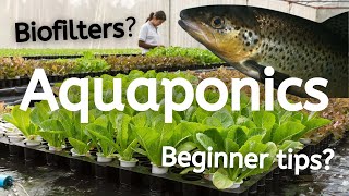 What is Aquaponics and How Does it Work [upl. by Fianna]