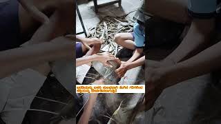 SUPW project by govt school studentscoconut stick broommaking best out of waste [upl. by Corine577]