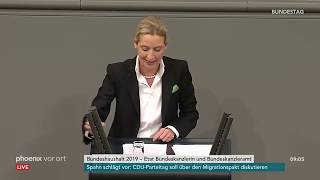 Generaldebatte im Bundestag Rede von Alice Weidel am 21112018 [upl. by Hnilym]