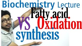 Difference between fatty acid synthesis and degradation [upl. by Bank]