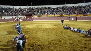 Men Participate in Crawling Race Across Bullfighting Arena  988572 [upl. by Zobkiw]