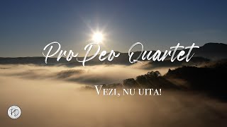 ProDeo Quartet  Vezi nu uita Official Lyrics Video [upl. by Ynotna839]