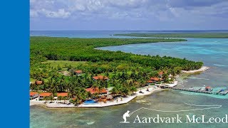 Fly Fishing Turneffe Flats Belize [upl. by Idolah]