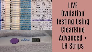 Live Ovulation Test Progression Using ClearBlue Advanced Digital Ovulation Test and LH Strips [upl. by Gerianne]