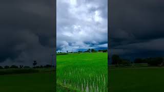 Hum kuchi kuchi khaim chataniya ho jaanshorts [upl. by Lamdin]