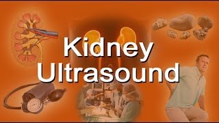 Kidney Ultrasound  What Is It Does It Hurt [upl. by Eileek621]