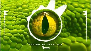 Frogg  Veneno de Serpiente original mix [upl. by Abdu]