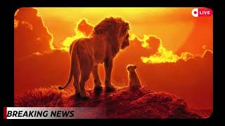 The Lion King Prequel Mufasas Origin Story Revealed in First Trailer Mufasa TheLionKingPrequel [upl. by Manuel931]