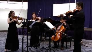 Mozart String Quartet No 14 in G K387  First Movement [upl. by Auka]