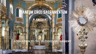 Tantum ergo plain chant plainchant gregorianchant  Tantum ergo Sacramentum version 2 [upl. by Yenial]