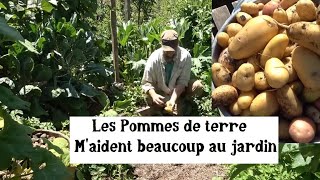 Réussir son Potager grâce aux Pommes de terre [upl. by Toms128]