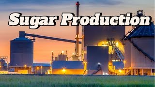 quotThe Sugar Industry Exposed Environmental and Health Impactsquot [upl. by Nahshunn178]