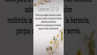 Colosenses 32324 jesucristo [upl. by Ahsiemal758]