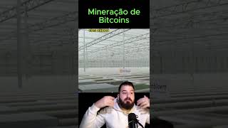 Uma fazenda de Mineração de Bitcoin produzindo… Flores [upl. by Nibas234]