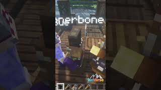 What happens when you use Dinnerbone on Villagers  isoversenet minecraft funny minecraftfun [upl. by Neirod502]