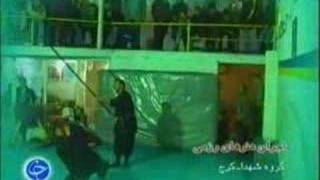 Ninja and Ninjutsu in Iran [upl. by Cirted620]