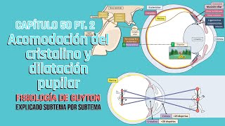 CAP 50 25 Acomodación del cristalino y dilatación pupilar l Fisiología de Guyton [upl. by Engvall984]