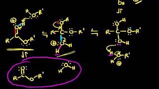 Preparation of esters via Fischer esterification  Organic chemistry  Khan Academy [upl. by Meean]