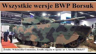 Wszystkie wersje BWP Borsuka [upl. by Idleman308]