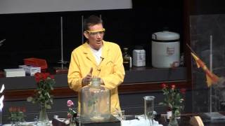 Free Range Chemistry 22  Burning Sulphur with Rose [upl. by Adnelg]