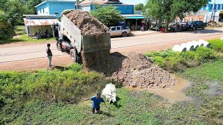 Fantastic New Project Landfill Flooded by Bulldozer Komatsu D31P with 5T Dump Trucks [upl. by Kcirrag]