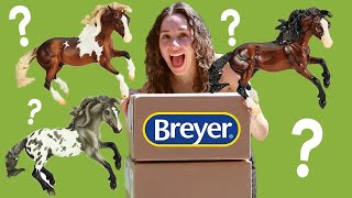 BREYER Gamblers Choice SHELBY Unboxing [upl. by Akenn237]