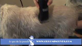 How To Groom A WestieTrim The Traditional West Highland TerrierCut With Andis Clippers [upl. by Ednalrim]