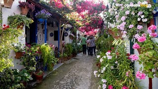 Córdobahoy  Patios de Córdoba 2018 [upl. by Power]