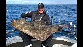 Angeln in Norwegen Seter Brygge – Die Großfischperle in Mittelnorwegen [upl. by Eelyahs]