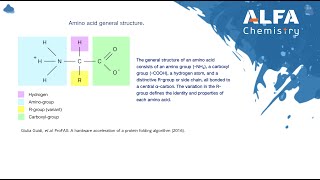 Introduction to Amino Acids Structure Classification and Functions [upl. by Acimehs]