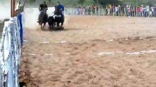 Disputa Final 2016 Cavalo Ozorrero  neto de El Zorrero [upl. by Etnoved937]