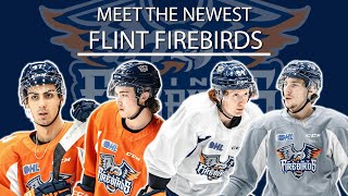 Meet the Newest Flint Firebirds  Alex Kostov Connor Clattenburg Roberto Mancini amp Oliver Peer [upl. by Acissev]