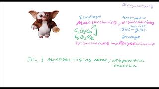 Biochemistry Lecture 19 Carbohydrates Part 1 [upl. by Kenelm905]