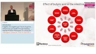 Webinar Intestinal problems for piglets [upl. by Orferd]