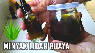 DIY Cara membuat minyak lidah buaya melembapkan kulit dan menyuburkan rambut secara alami Cara2 [upl. by Yelknirb]