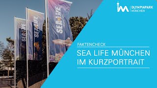 Sea Life München im Kurzportrait [upl. by Notxed]