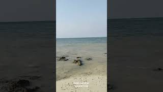 BEACH PLOT INAUZWA PONGWE UROA 90000 sqm 0653007438 [upl. by Aneleiram]