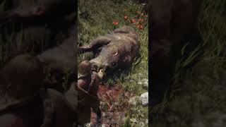 Legendary Grizzly Bear RDR2 [upl. by Alyk239]