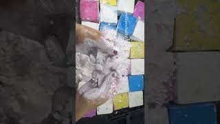 gym chalk crushing asmr asmr satisfying ASMRgymchalkIndonesia fyp viralvideo asmrsounds [upl. by Charil987]